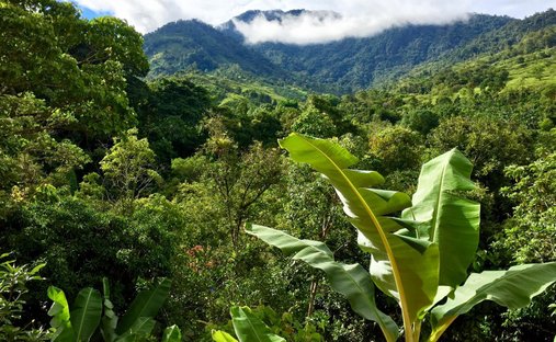 Terreno a Rivas, San José, Costa Rica 1
