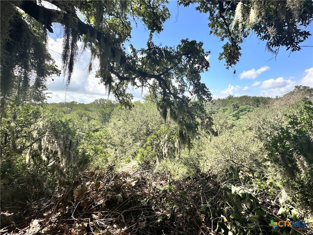 San Marcos, Texas, United States 5 - 18147948
