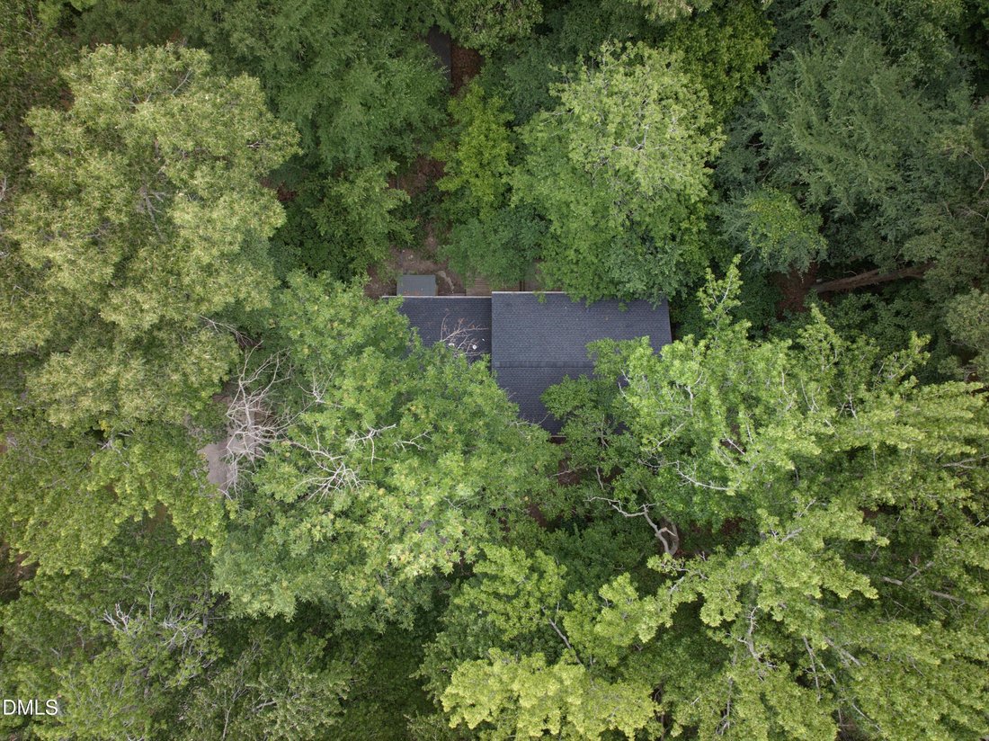 House in Chapel Hill, North Carolina, United States 5 - 18145832