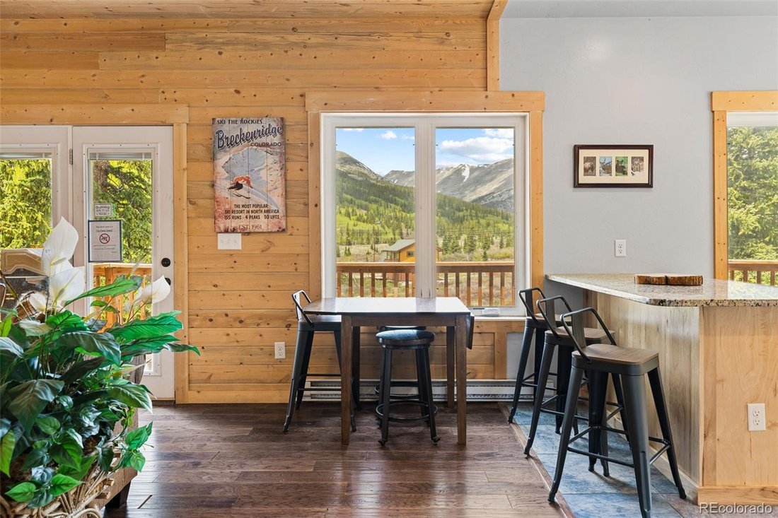 House in Alma, Colorado, United States 4 - 18149951