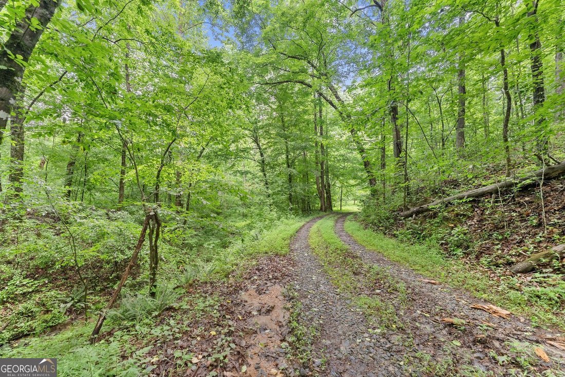 Land in Dahlonega, Georgia, United States 5 - 18149799