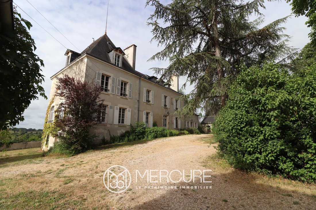 Castle in Le Blanc, Centre-Val de Loire, France 1 - 18146563