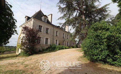 Castle in Le Blanc, Centre-Val de Loire, France 1