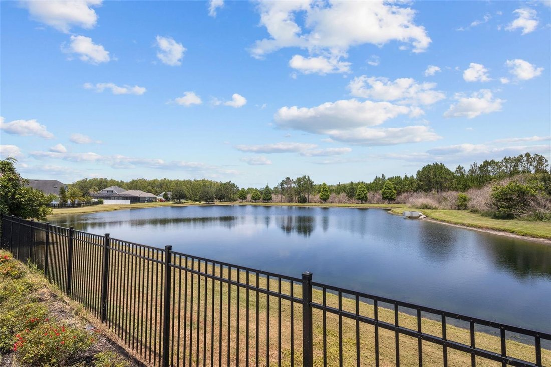 House in Odessa, Florida, United States 5 - 18145397