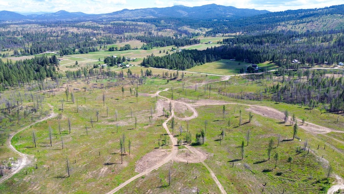 Terrain à Newport, Washington, États-Unis 4 - 18146007