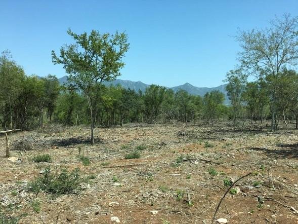 Land in Santiago, Nuevo Leon, Mexico 2 - 18145976