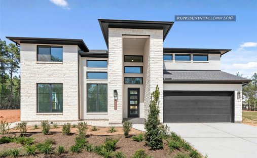 House in Conroe, Texas, United States 1