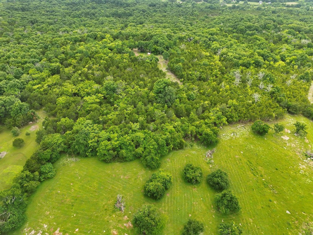 Land in Readyville, Tennessee, United States 5 - 18145982