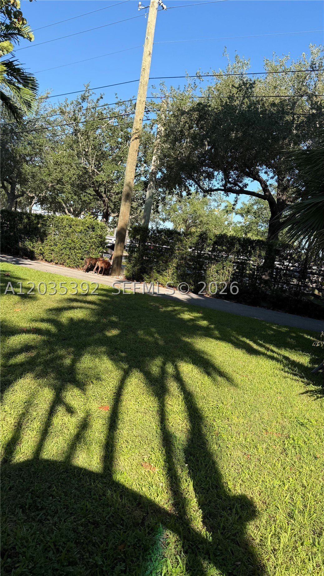 House in Miami, Florida, United States 4 - 18148860