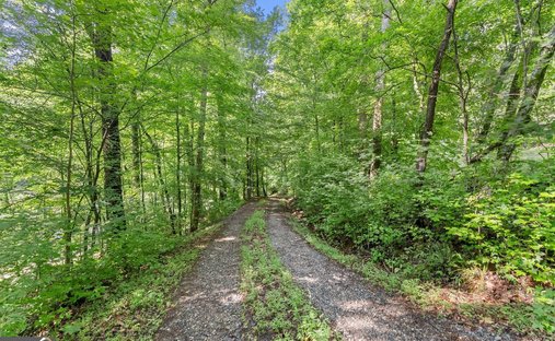 Land in Dahlonega, Georgia, United States 1