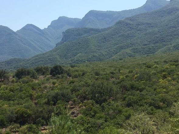 Land in Santiago, Nuevo Leon, Mexico 1 - 18145976