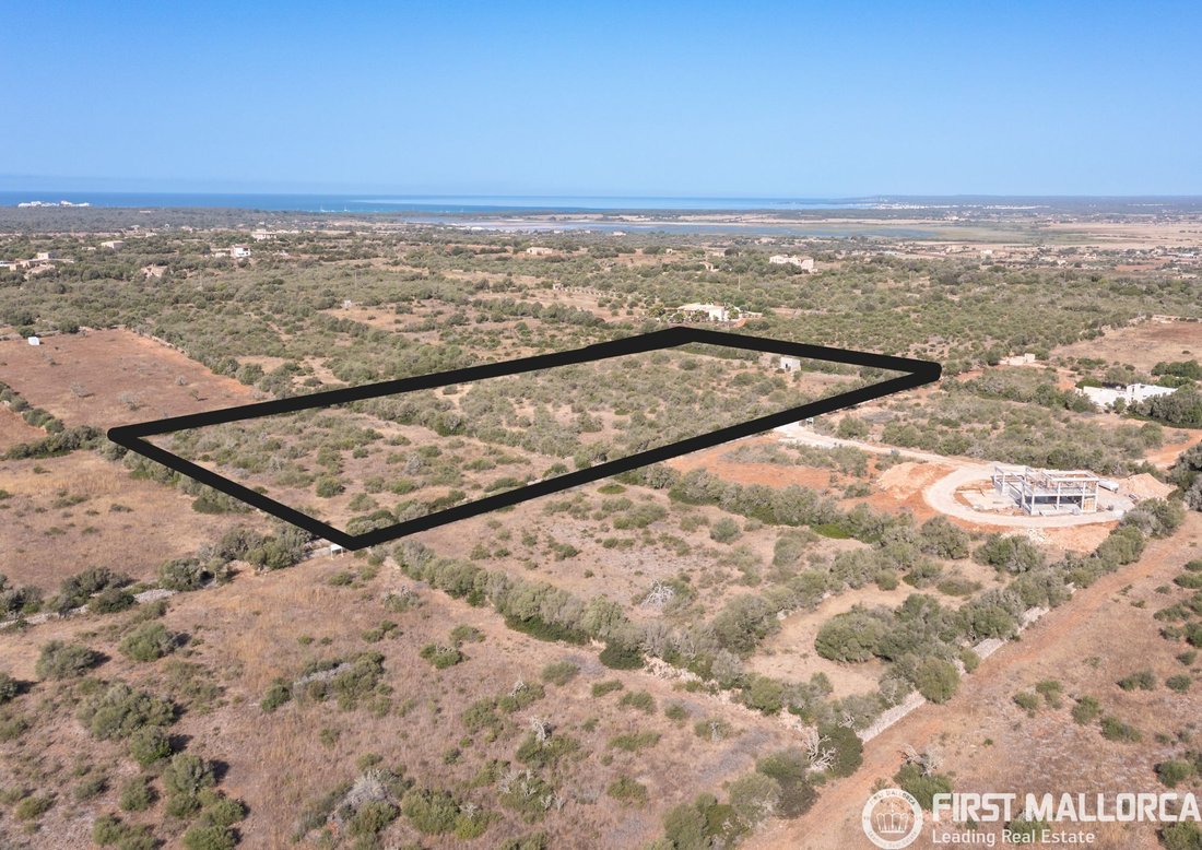 Terreno a Campos, Isole Baleari, Spagna 2 - 18058951