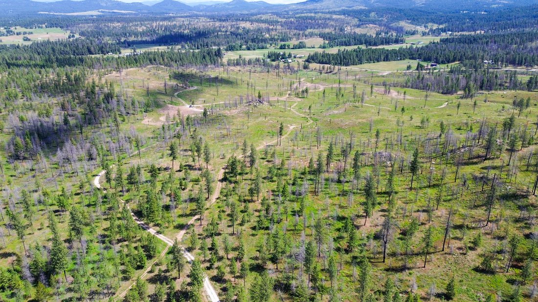 Terrain à Newport, Washington, États-Unis 1 - 18146007