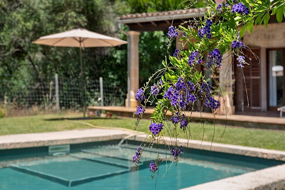Country House in Campanet, Balearic Islands, Spain 2 - 18147009
