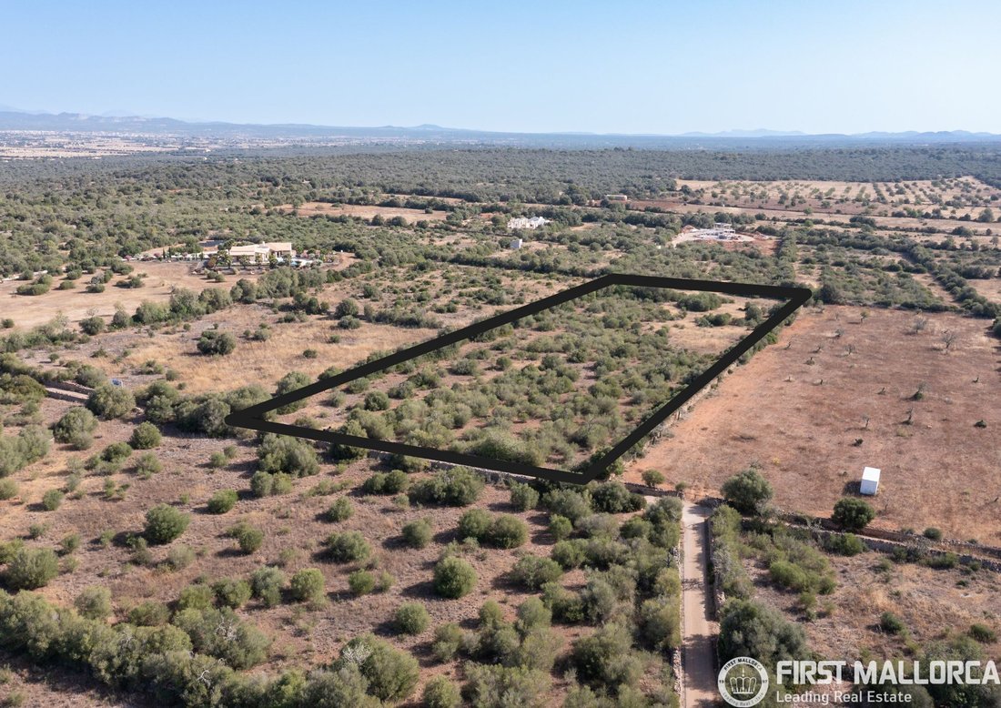 Land in Campos, Balearic Islands, Spain 2 - 16831825