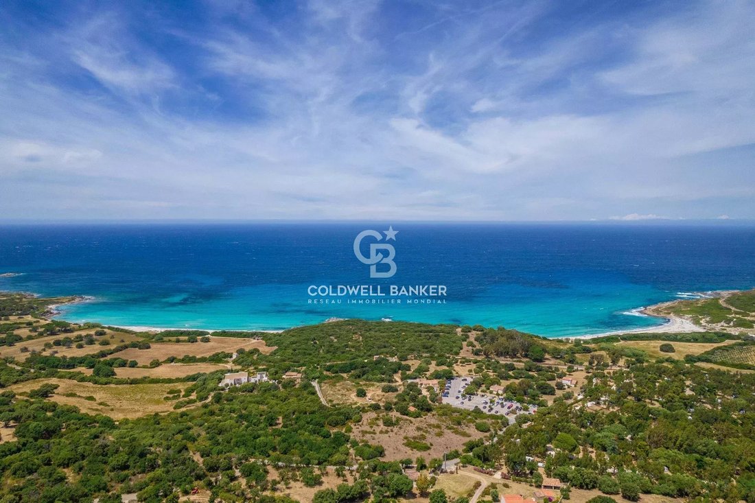 Villa in Corbara, Corsica, France 1 - 18146784