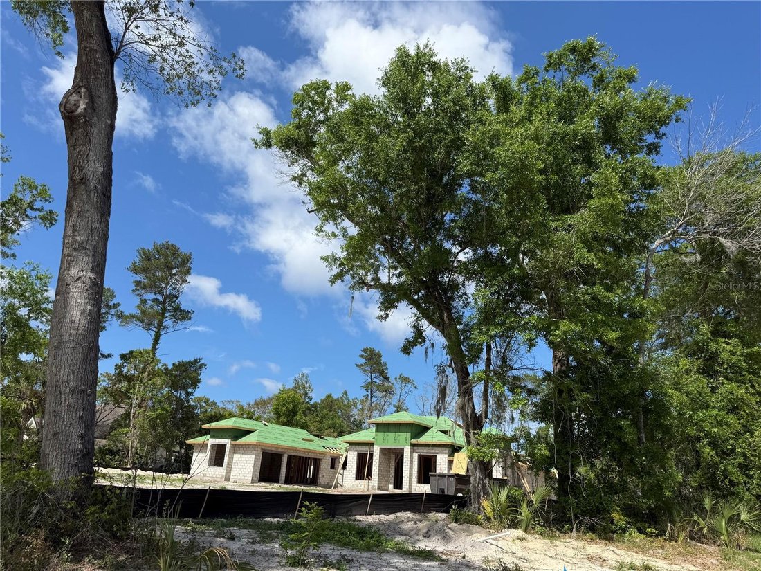 House in Ormond Beach, Florida, United States 5 - 17683430