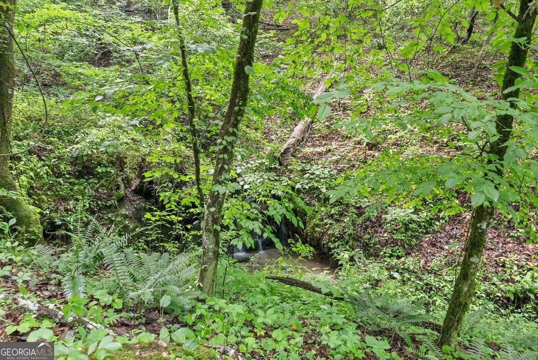 Land in Dahlonega, Georgia, United States 4 - 18149799