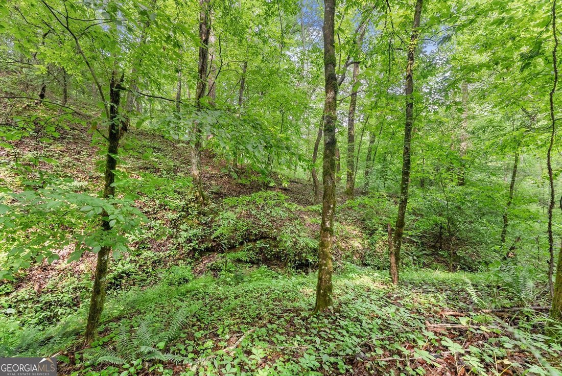 Land in Dahlonega, Georgia, United States 3 - 18149799