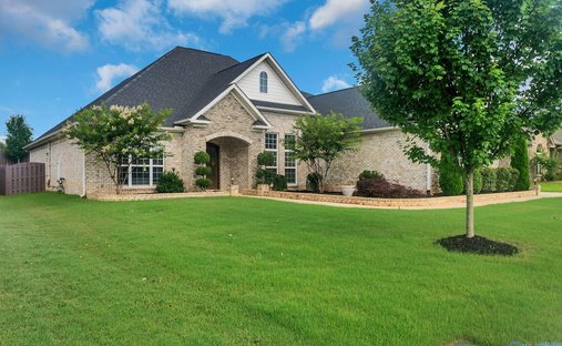 House in Madison, Alabama, United States 1