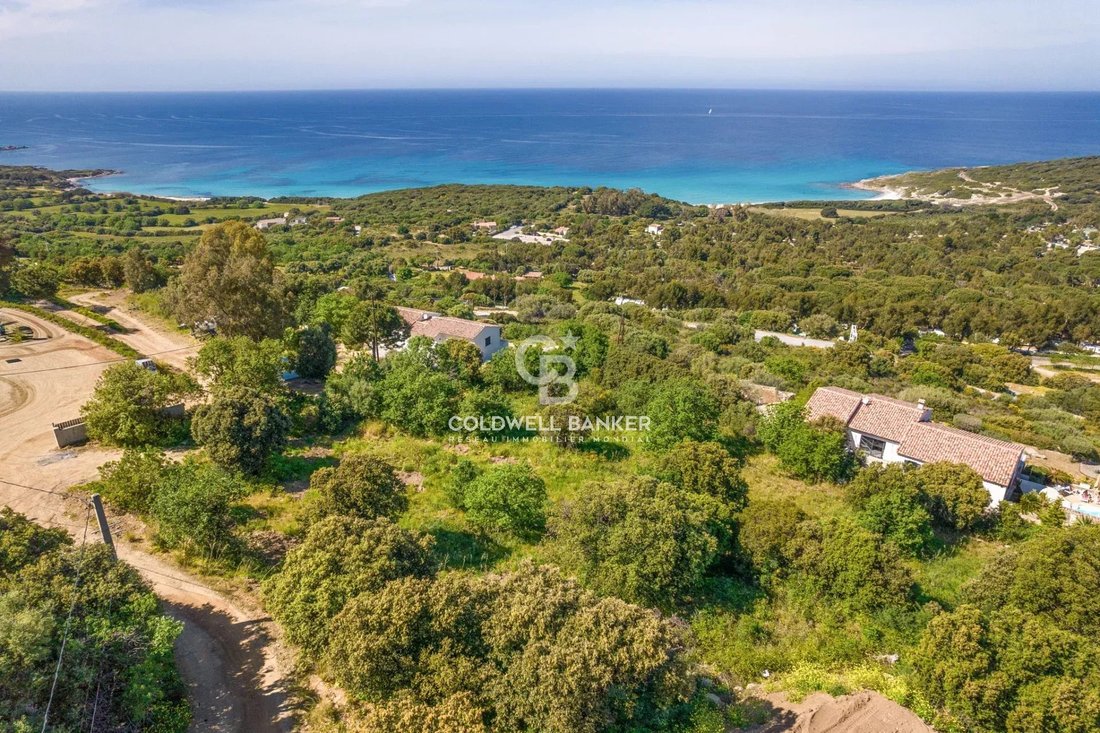 Villa in Corbara, Corsica, France 5 - 18146784