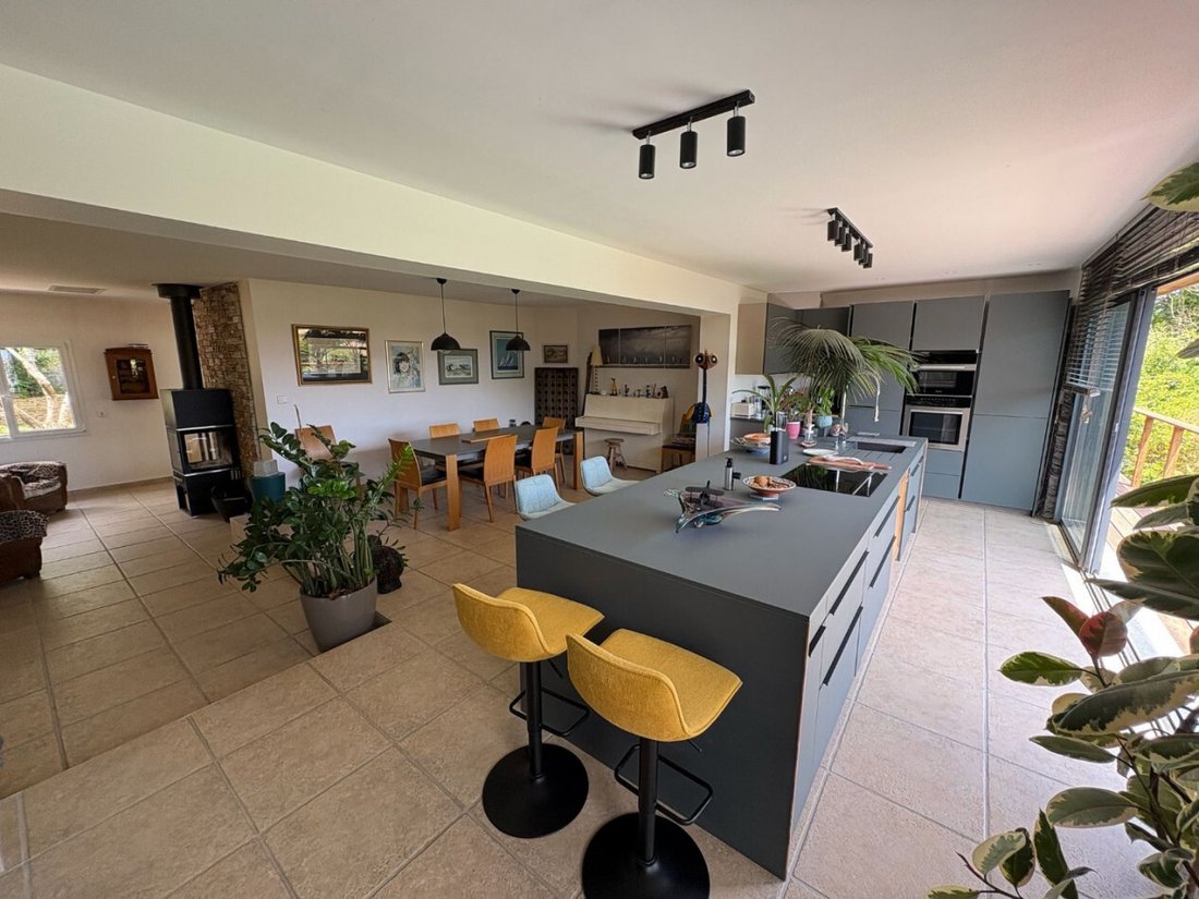 Villa in Entre-Vignes, Occitania, France 5 - 18146256