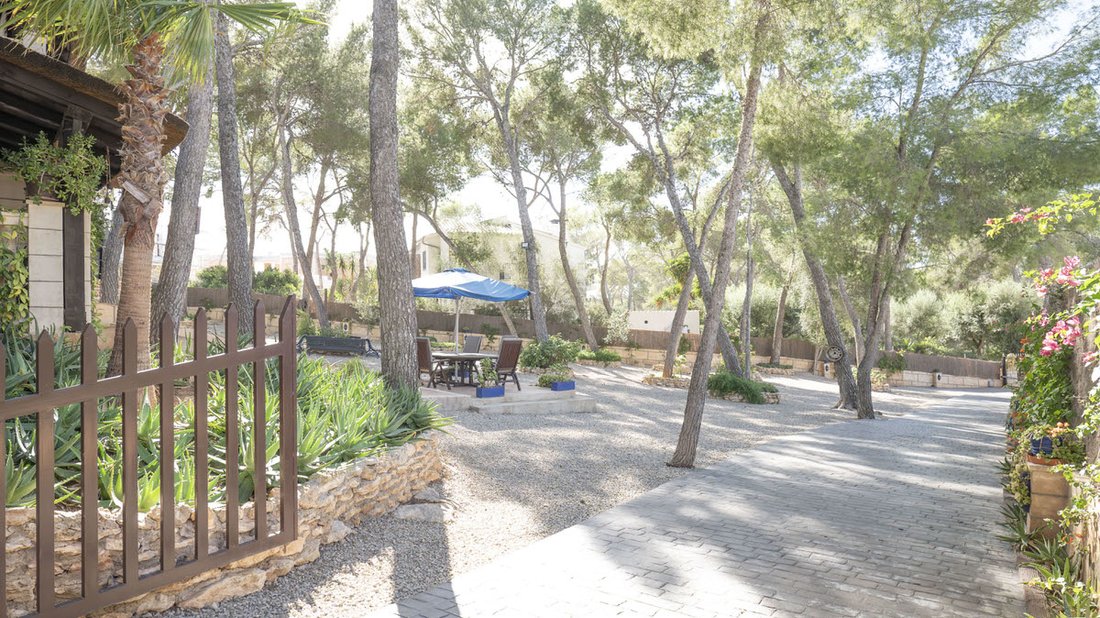 Villa in Calvia, Balearic Islands, Spain 4 - 18146765