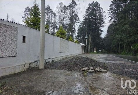 House in Pueblo Nuevo, Hidalgo, Mexico 2 - 18146708