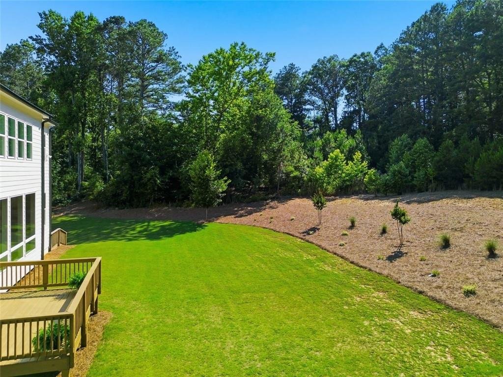 House in Woodstock, Georgia, United States 5 - 18146564