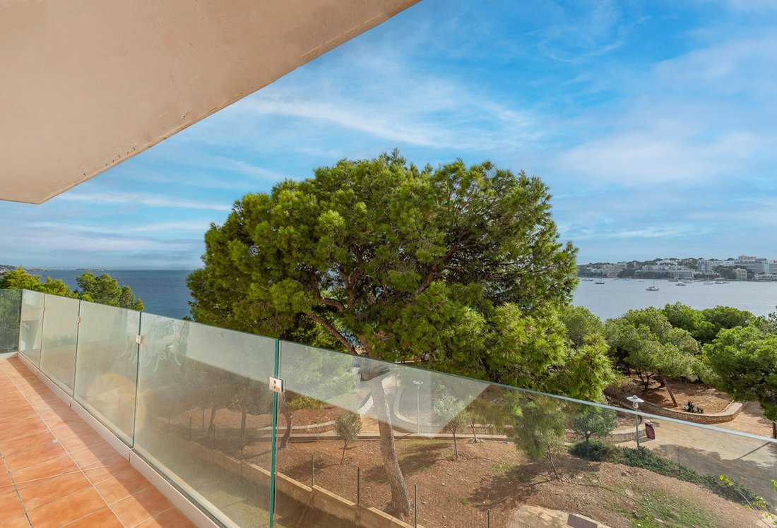 Apartment in Calvia, Balearic Islands, Spain 1 - 18146713