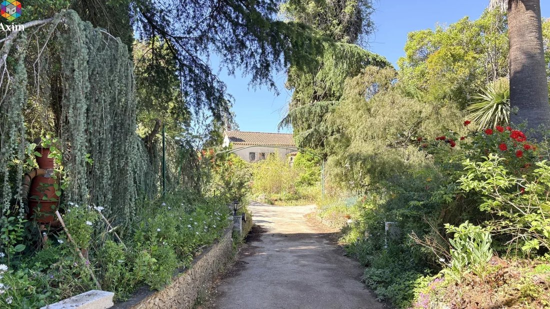 Villa in Valescure-Vaulongue-Clair Bois-Vallon Suveret, Saint-Raphaël, France 1 - 18146650
