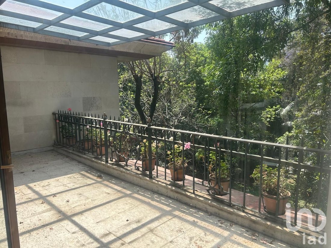 House in Mexico City, Mexico 3 - 18146396