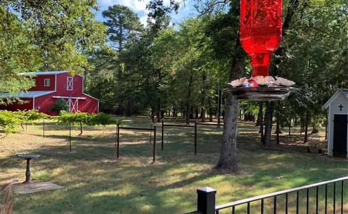 House in Grapeland, Texas, United States 1