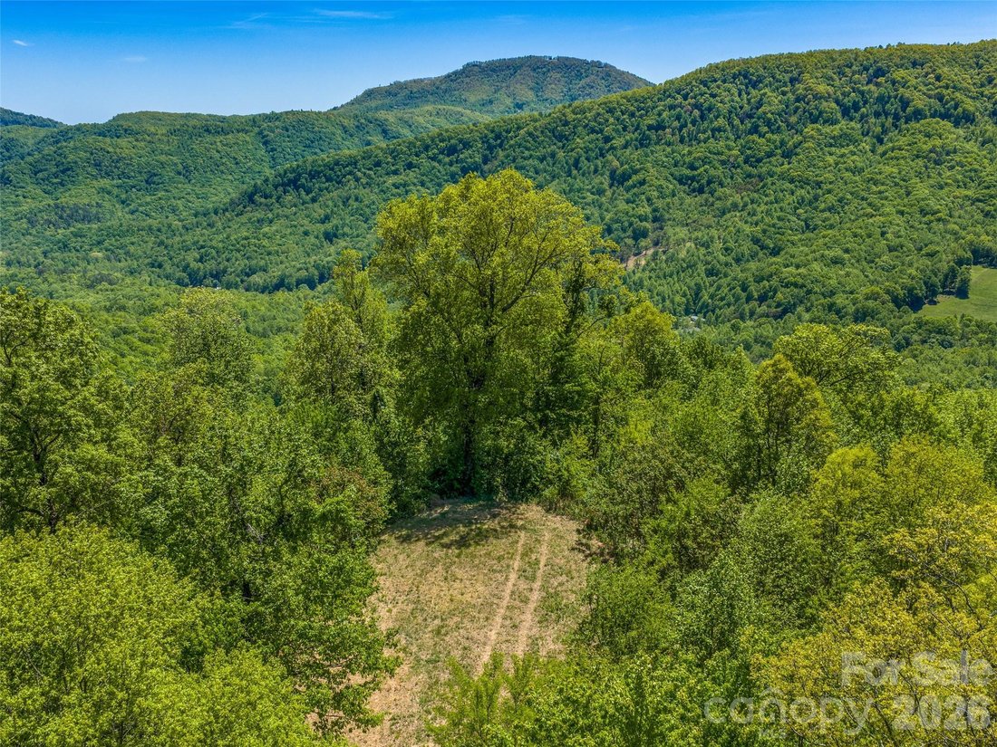 House in Black Mountain, North Carolina, United States 4 - 18149882