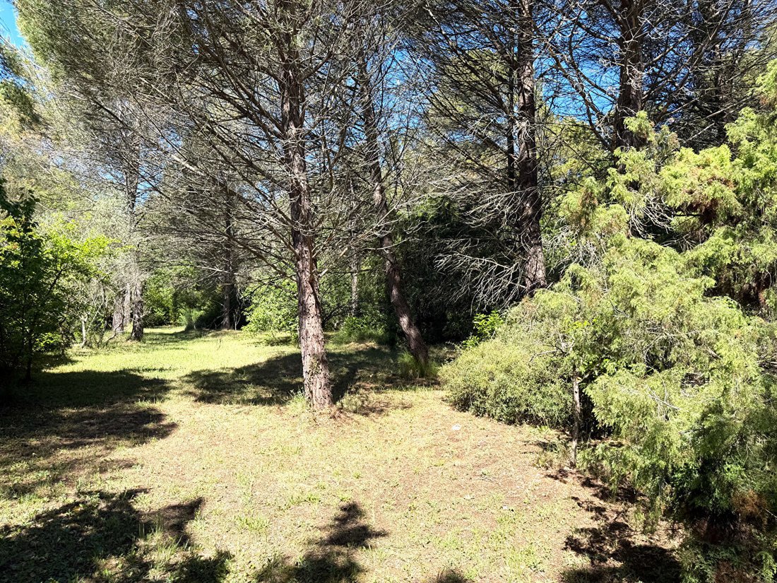 Villa in Forcalqueiret, Provence-Alpes-Côte d'Azur, France 4 - 18150531