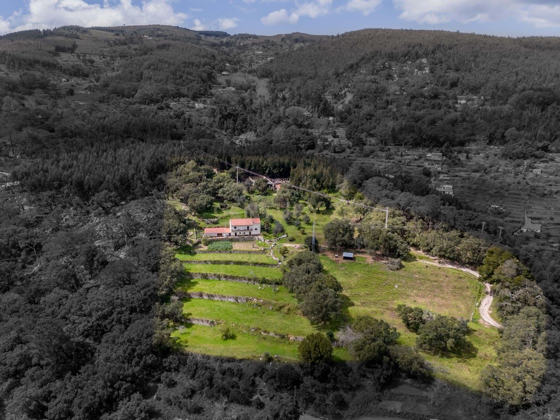 Villa in Monchique, Algarve, Portugal 4 - 15533443