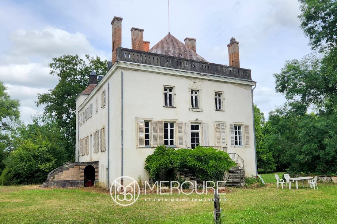 Castle in Jaligny-sur-Besbre, Auvergne-Rhône-Alpes, France 4 - 18146543