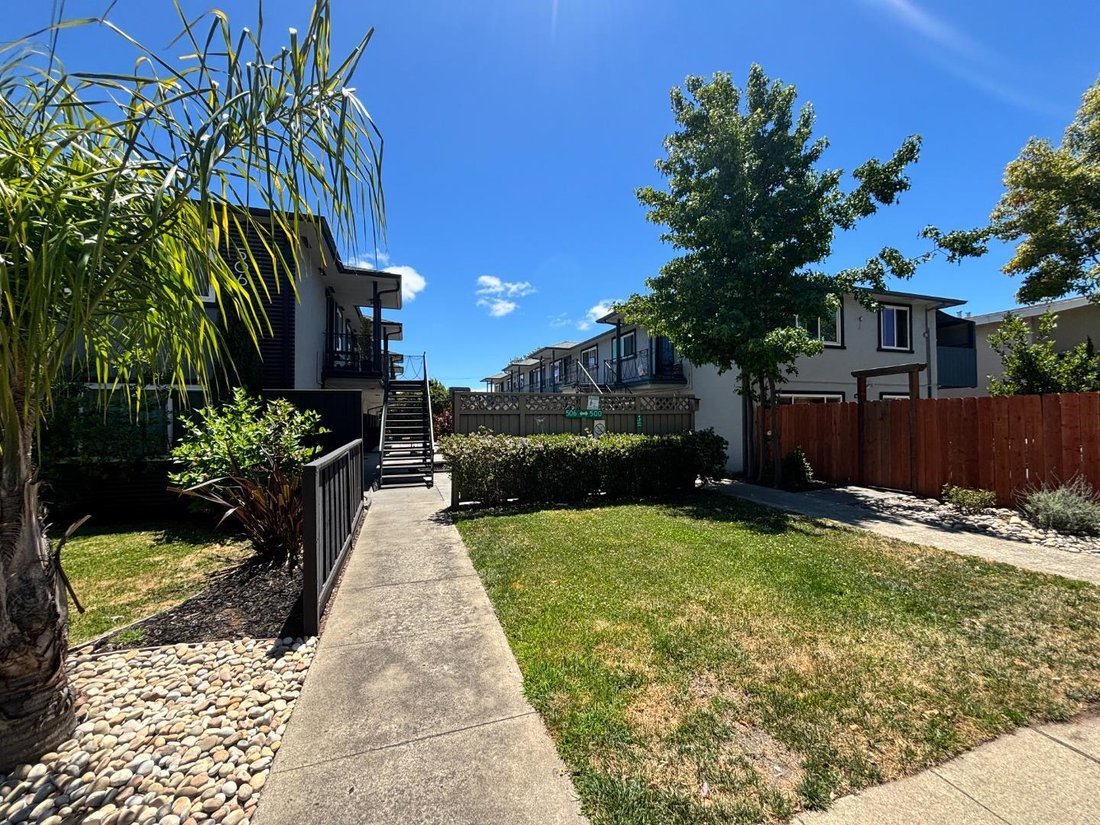San Mateo, California, United States 1 - 17979240