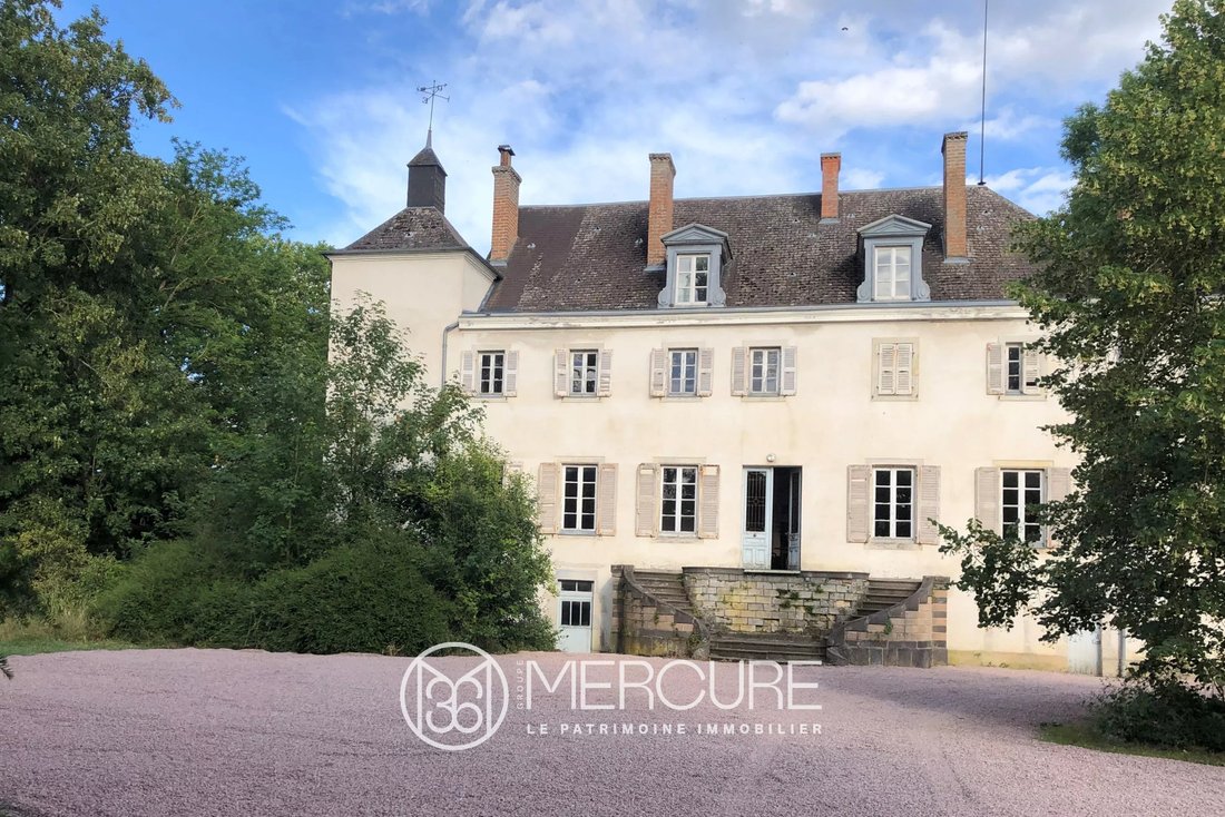 Castle in Jaligny-sur-Besbre, Auvergne-Rhône-Alpes, France 3 - 18146543