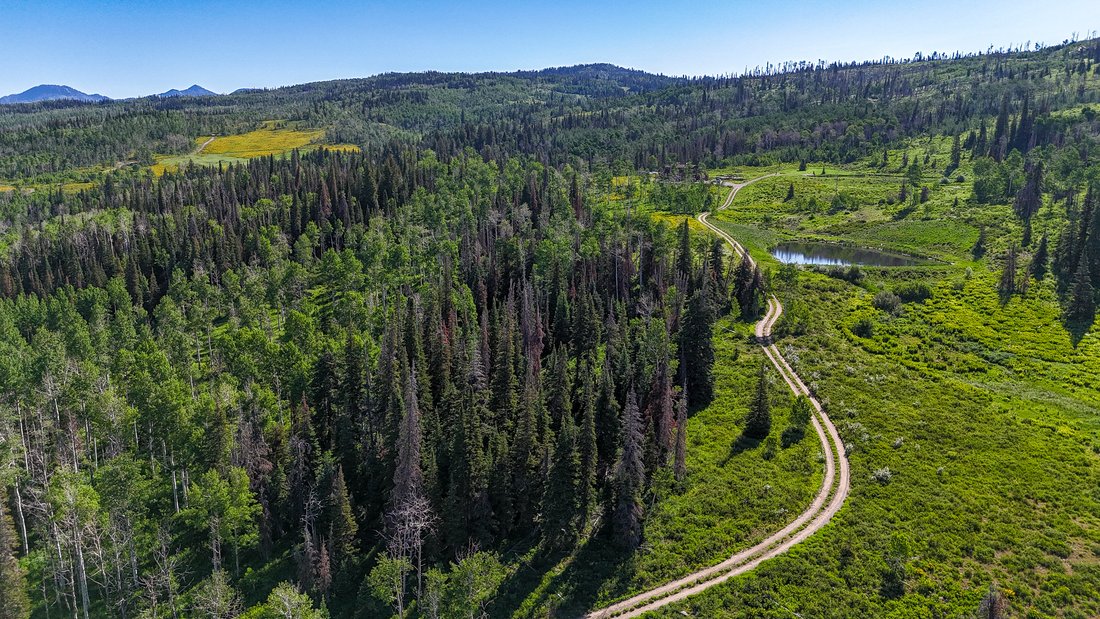 House in Steamboat Springs, Colorado, United States 5 - 18147370