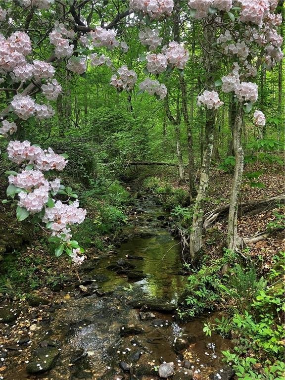Land in Cumming, Georgia, United States 1 - 17731335