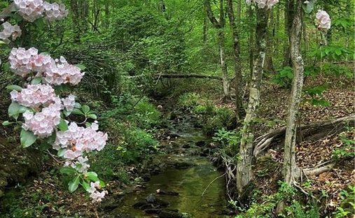 Land in Cumming, Georgia, United States 1