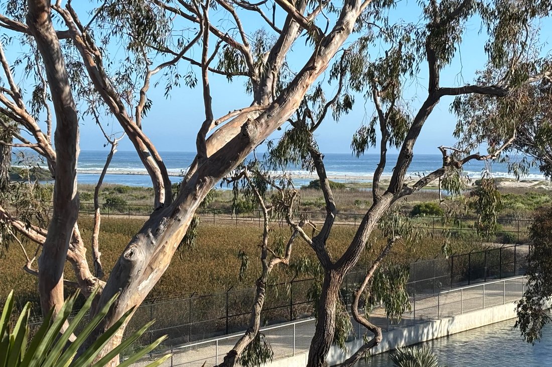 Condo in Port Hueneme, California, United States 4 - 17751799