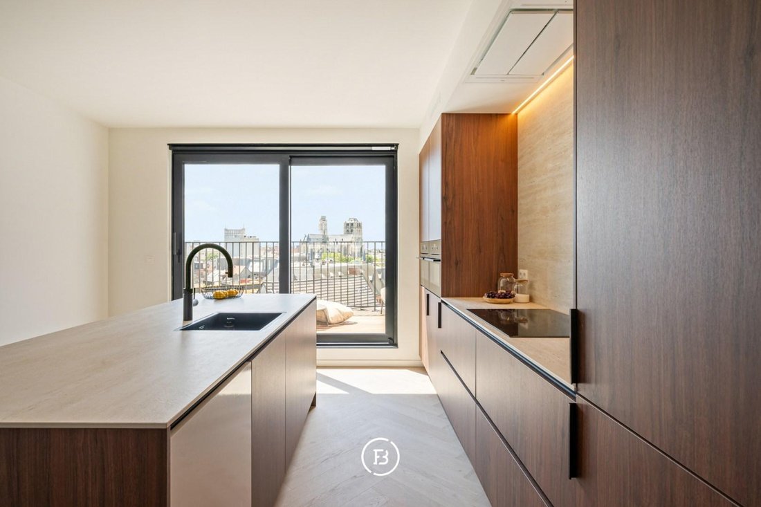 Apartment in Antwerp, Flanders, Belgium 2 - 18148427