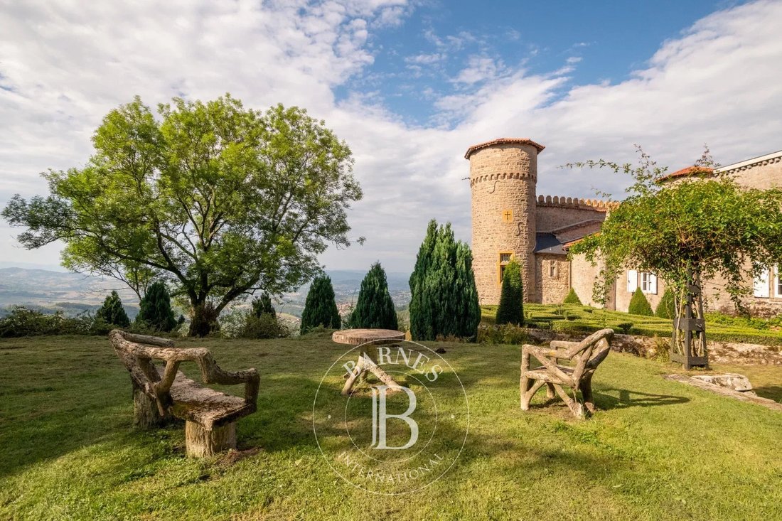 Castle in Pollionnay, Auvergne-Rhône-Alpes, France 5 - 18150426