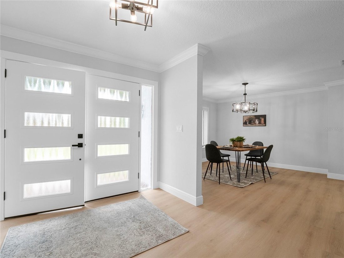 House in Lutz, Florida, United States 4 - 18148576
