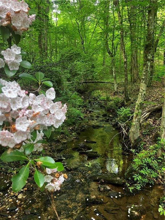 Land in Cumming, Georgia, United States 2 - 17731335