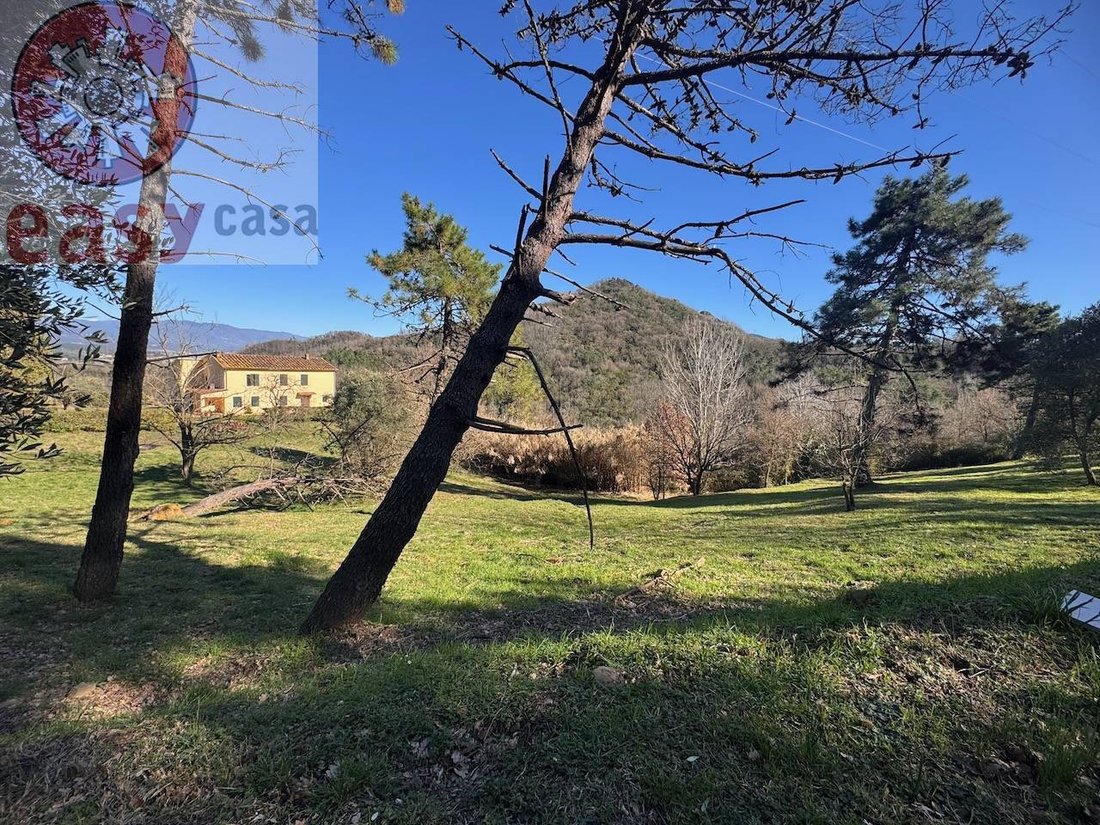 Country House in San Macario In Piano, Lucca, Tuscany 5 - 18150952