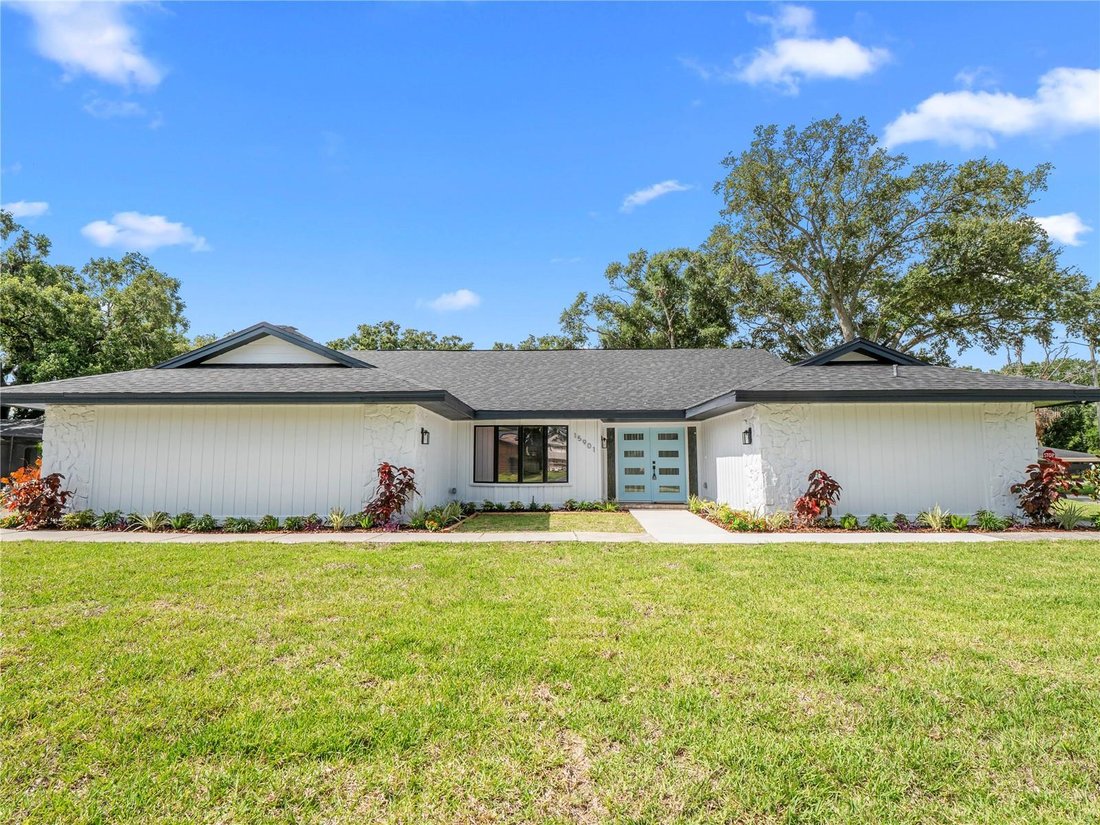 House in Lutz, Florida, United States 1 - 18148576