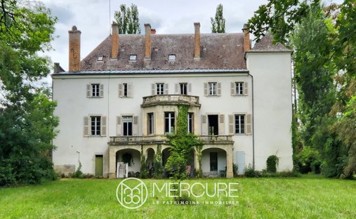 Castle in Jaligny-sur-Besbre, Auvergne-Rhône-Alpes, France 1